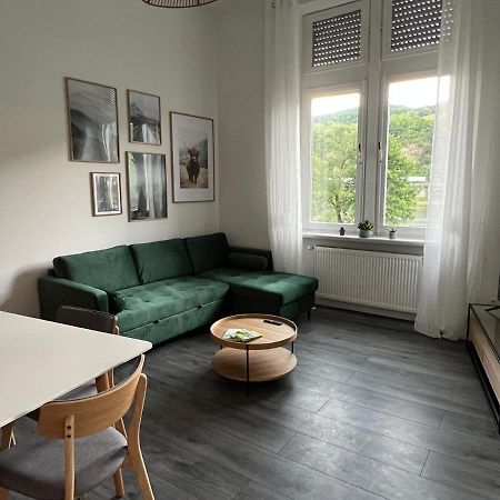 Direkter Moselblick I Altbau I 4 Personen I Terrasse Apartment Sankt Aldegund Bagian luar foto