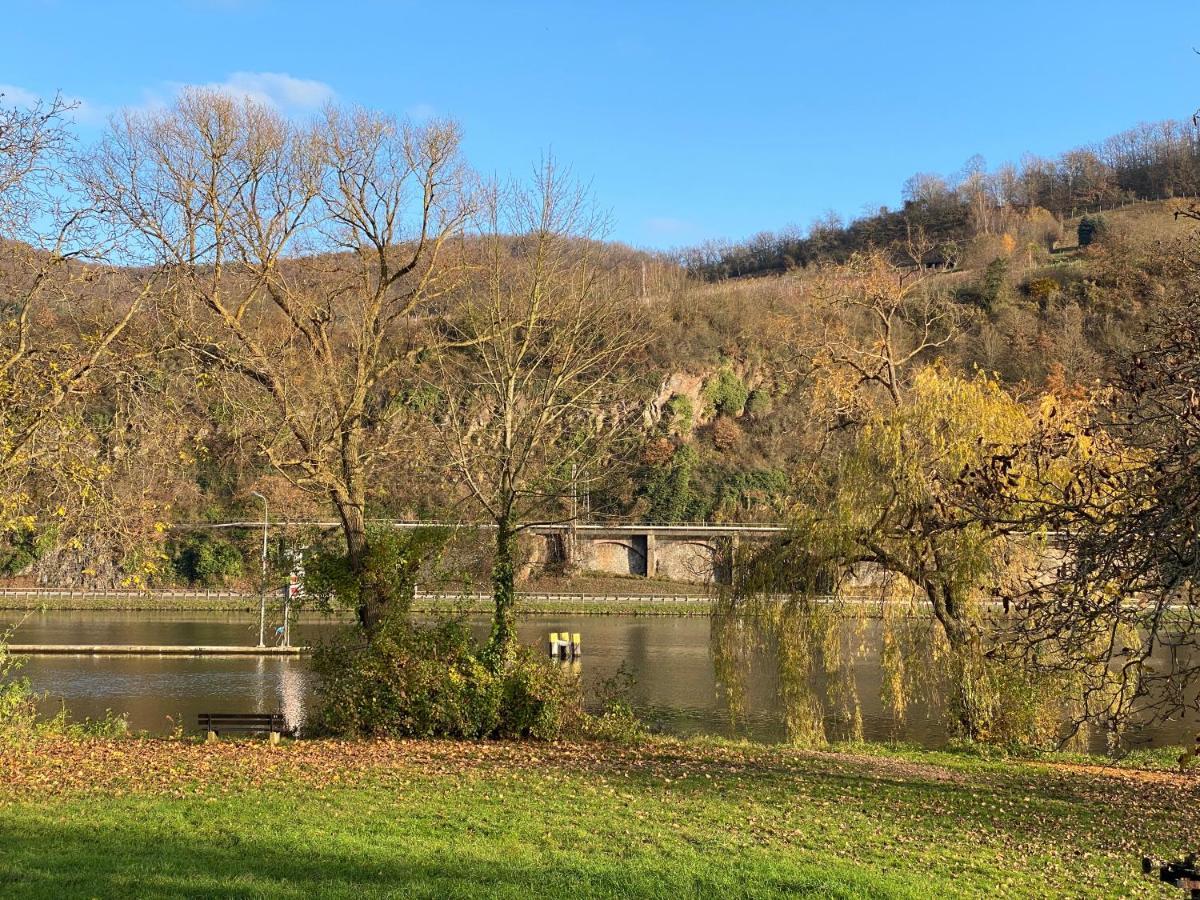 Direkter Moselblick I Altbau I 4 Personen I Terrasse Apartment Sankt Aldegund Bagian luar foto